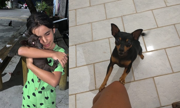 Alegria em dose dupla! Max e Princesa foram encontrados