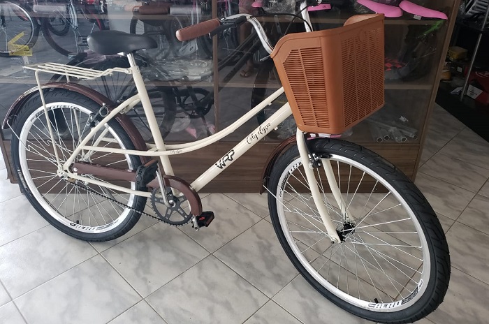 Ladrão furta bike à luz do dia e com donos em casa em Linhares