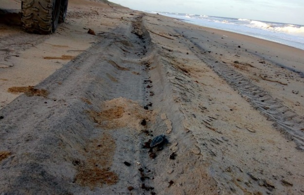 Fiscalização (nas praias e de carros na faixa de areia) é intensificada pela Prefeitura de Linhares