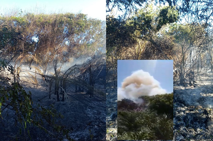 Vídeo: Muita correria durante incêndio no Pontal do Ipiranga