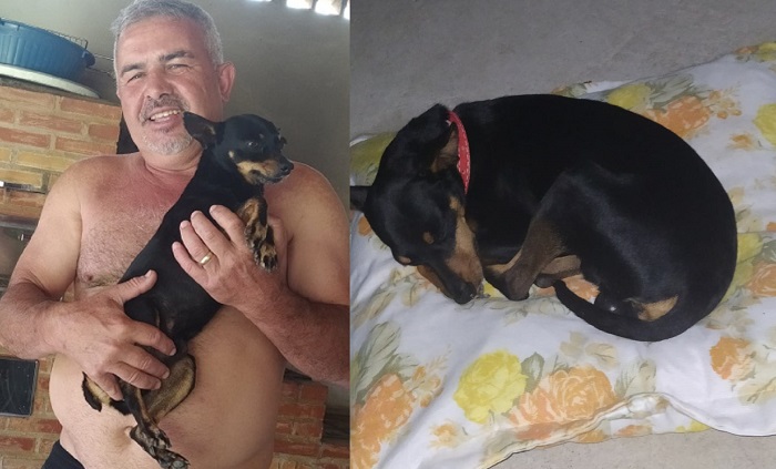 Cachorrinho chora igual criança, de saudade do pai que fugiu no Araçá. Tem recompensa