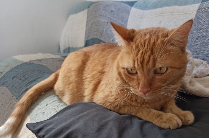 Feliz da vida: Olha só quem já está em casa
