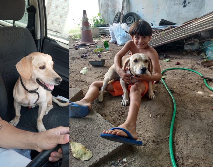 Que cena linda! Todynho é encontrado após notícia no Au, Au, Miau