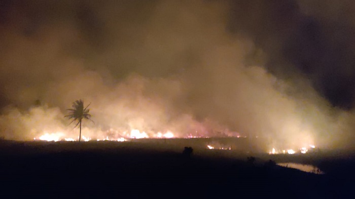 Fogo consome grande área de vegetação na Lagoa da Viúva