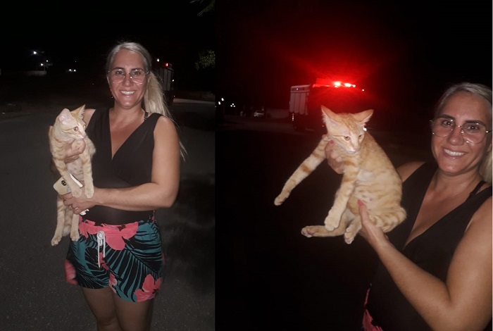 Gata é resgata, e Bombeiros são aplaudidos no Bº Interlagos