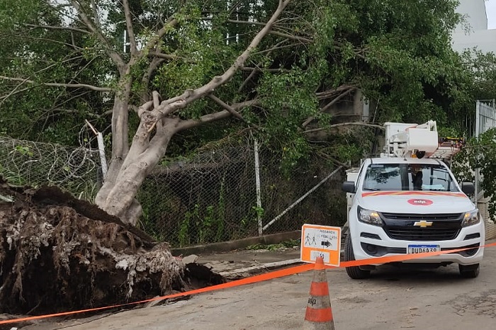 Previsão de temporais: EDP reforça alerta para cuidados com a energia elétrica 