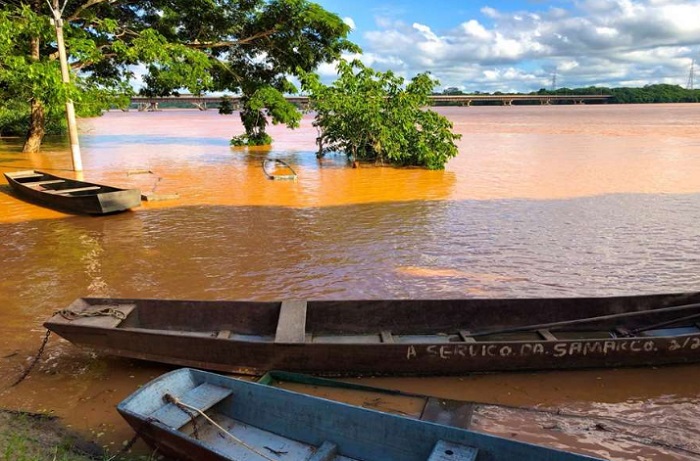 Rio Doce ultrapassa cota de inundação em Linhares