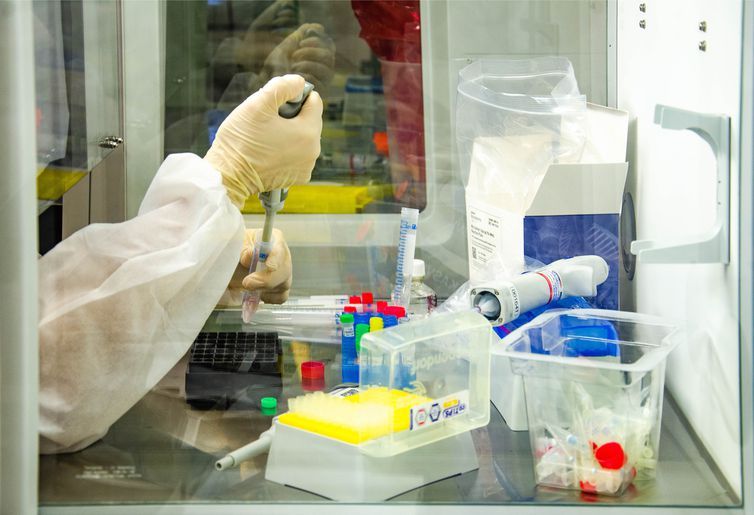 Covid-19: mortes somam mais de 247 mil e casos, quase 10,2 milhões