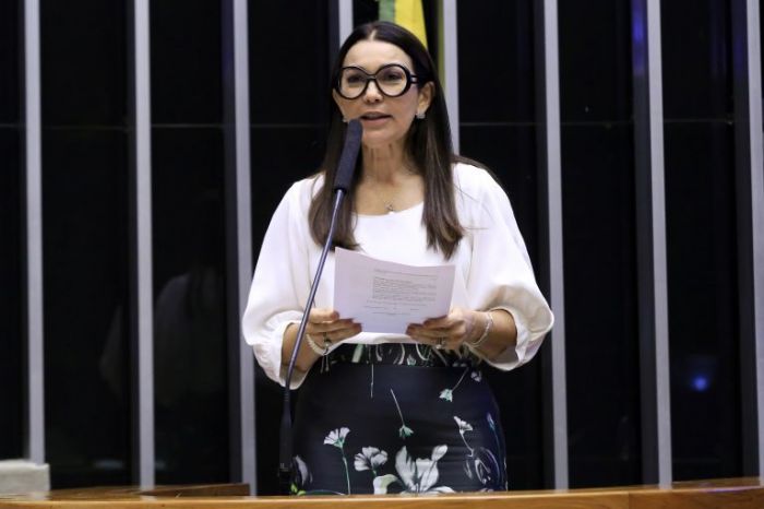 Relatora do grupo sobre reforma eleitoral apresenta plano de trabalho