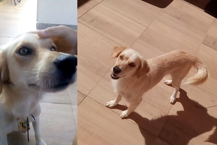 Jeick foge no Movelar, e família pede ajuda aos leitores