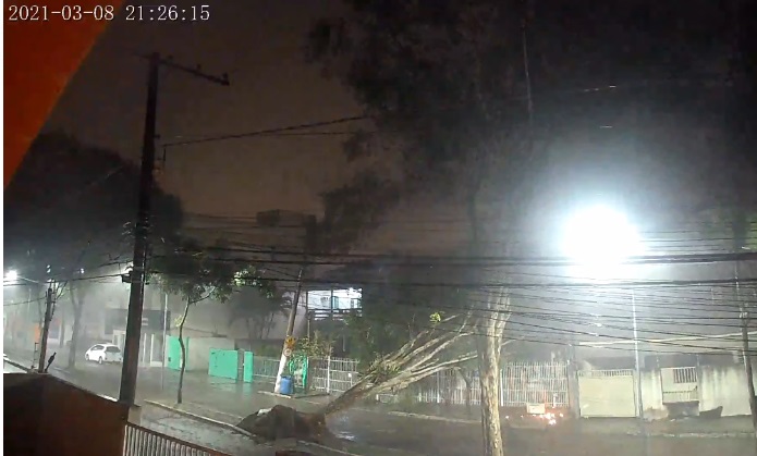 Temporal da noite: Veja momento em que vento derruba árvore em avenida no Bº Colina