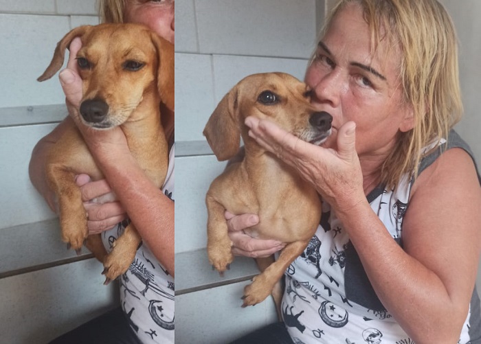 Os mimos para Mel: Quem a encontrou recusou recompensa
