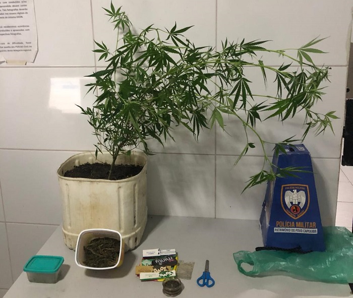 Pezão de maconha apreendido e jovem detido no interior de Linhares