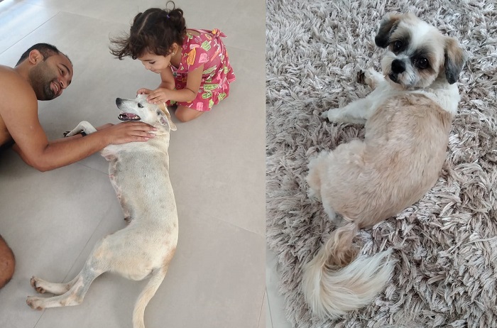 Lupi e Lisa: Temos 2 finais felizes no Au, Au, Miau