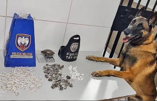 Destaque: K9, Cão Nill, Força Tática = apreensão de drogas no Santa Cruz