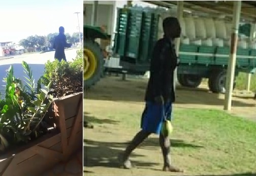 Homem corre risco de ser linchado após divulgação de foto de procurado pela justiça em Linhares