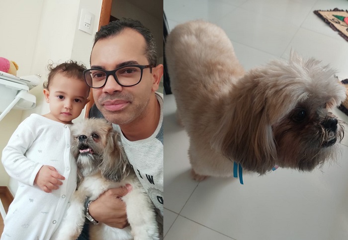 Tem recompensa: Théo foge no Conceição, e família pede ajuda no Au. Au, Miau