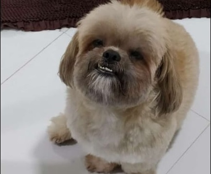 Encontrado! Théo é encontrado, e bebê é só alegria no Conceição