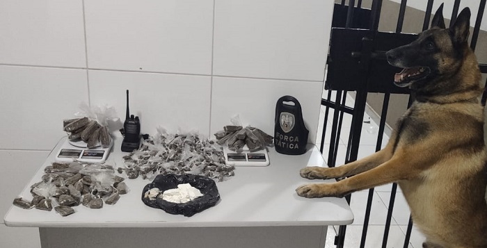 FT apreende quase 1,5kg de maconha e outras drogas no Aviso