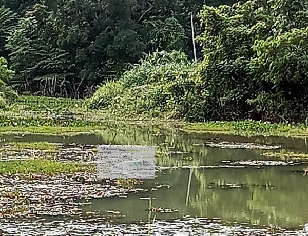 Corpo é encontrado boiando no Rio Pequeno. GCM foi chamada