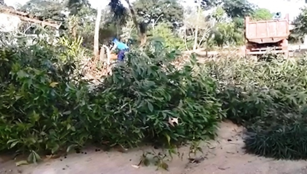Estão acabando com a natureza aqui em Linhares, dizem internautas. Confira fotos