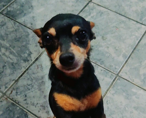 Ele também voltou! Olha o Spayk aí, gente