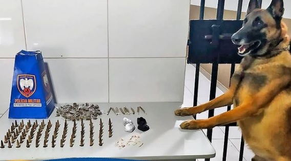 K-9: Força Tática apreende cocaína, crack e maconha no Santa Cruz