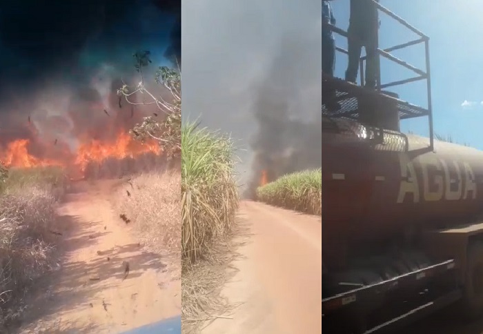 Fogo no canavial: PC de Linhares inicia investigação para saber se incêndios são criminosos