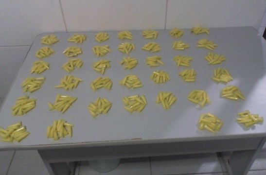 Quase 400 pinos de cocaína apreendidos pela PM no Santa Cruz