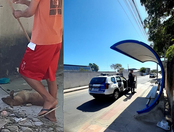 Leitora se desespera ao ver cachorro ser maltratado em Linhares. PM foi ao local