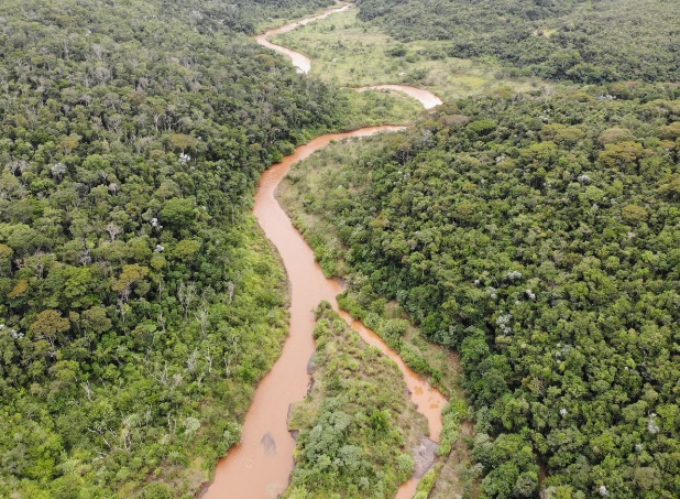 Estudo inédito identifica o risco de extinção de espécies aquáticas da bacia do rio Doce