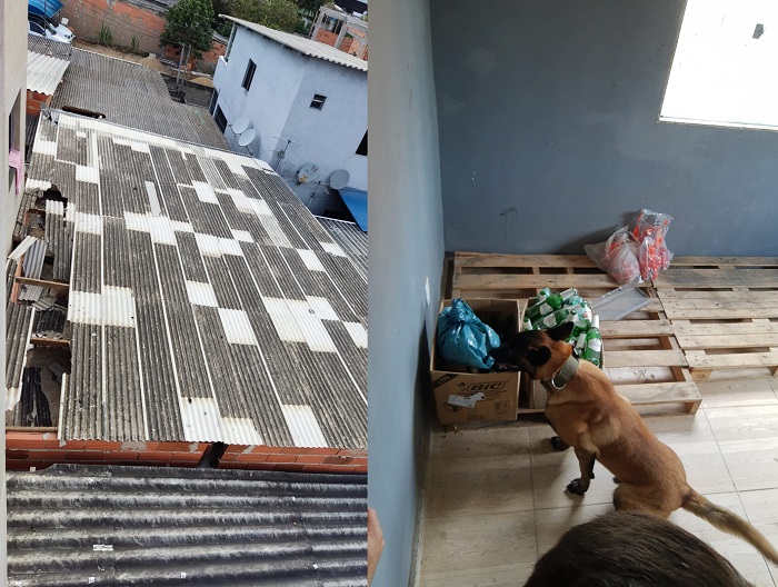 PC apreende 1kg de maconha e prende casal no Pó do Aviso