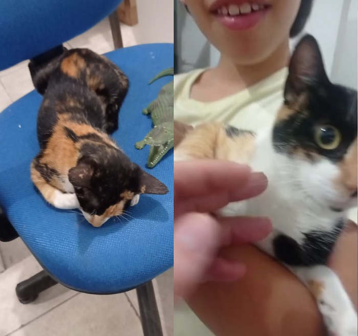 Fugiu no Centro: Tem recompensa para quem encontrar a Pâmela