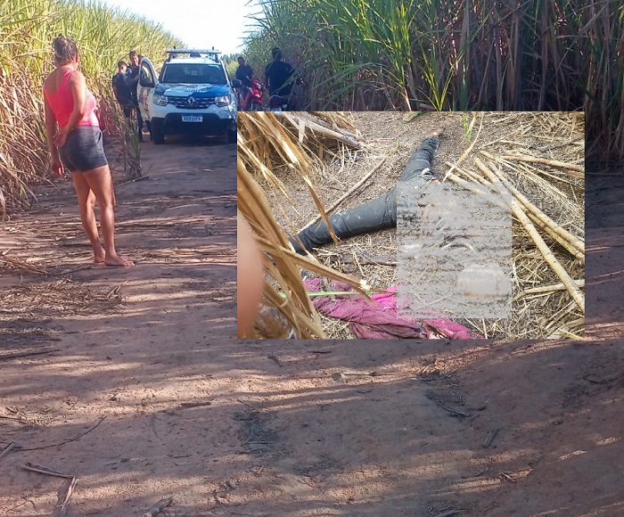 Mistério ronda identificação de corpo encontrado em local de desova em Linhares
