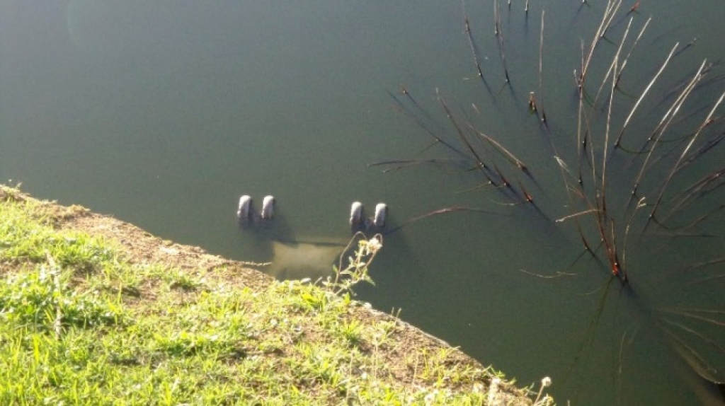 Despoluir? Tem gente que joga de tudo na Lagoa da Linha Verde