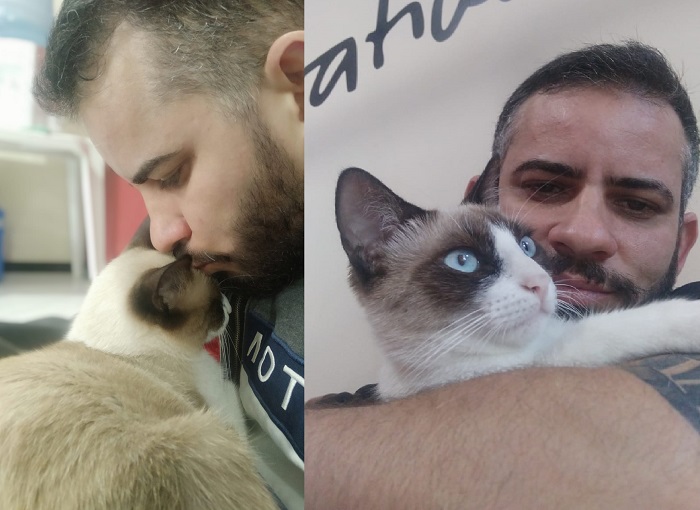 Recompensa: Professor pede ajuda para encontrar gatinha que o acompanha até na hora de dar aulas