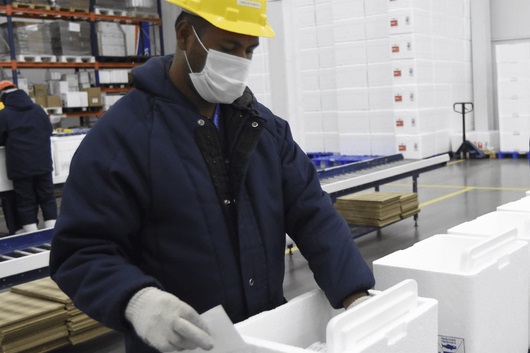 Maior campanha de vacinação da história do Brasil chega a 300 milhões de doses distribuídas contra a Covid-19