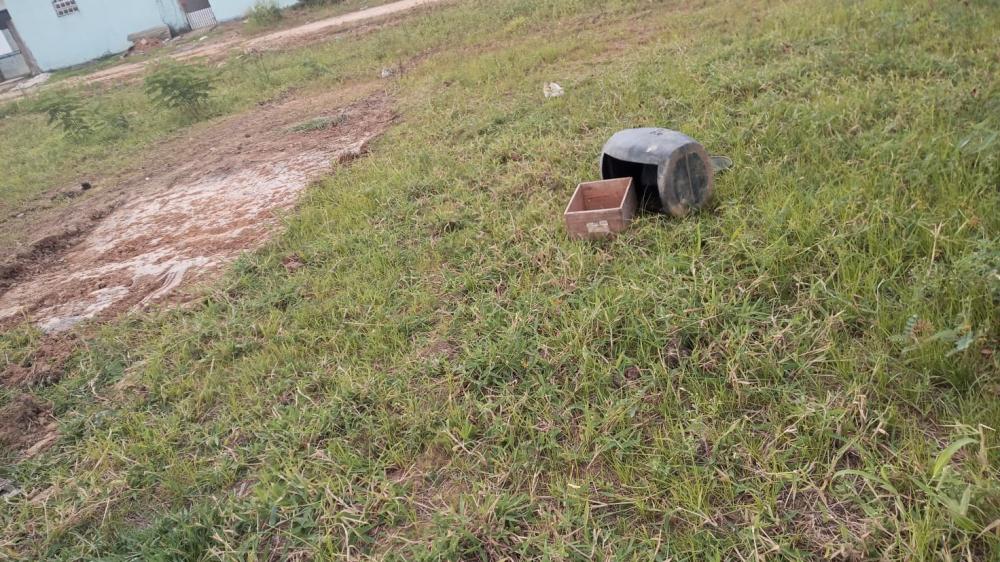 Máquina recolhe égua que agonizava em Bebedouro. “Será que viveu?”, pergunta moradora
