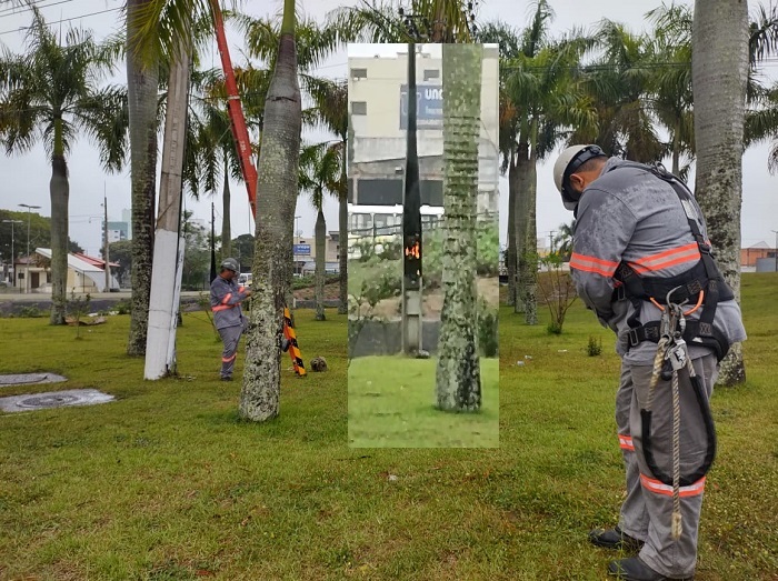 Vídeo: EDP apura causa de queda de energia em pleno domingo em Linhares
