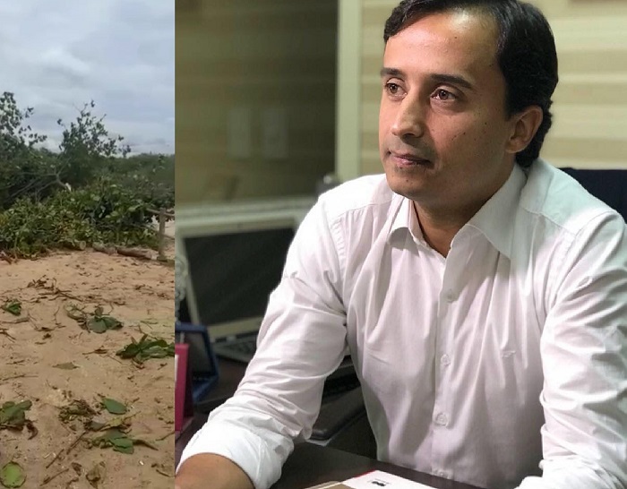 Advogado Ambientalista fala sobre extermínio das castanheiras no Pontal: “beira a algo pré-histórico”
