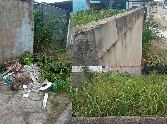 Vila Isabel: Lixo na calçada e mato dentro de lote preocupa moradores