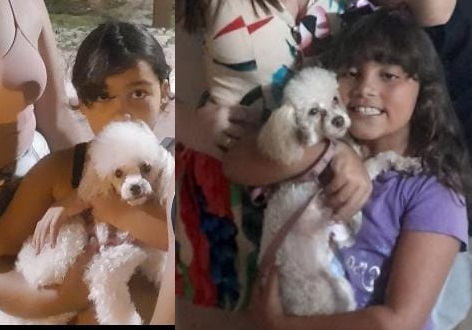 Cloe: Cachorrinha foge no Interlagos, família pede ajuda urgente, pois está em Linhares a passeio