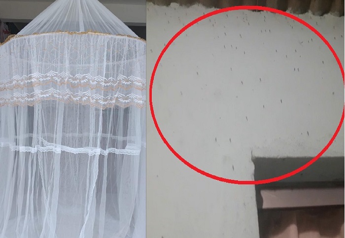Mosquitos “tomam conta” dos bairros, e moradores de Linhares pedem providências