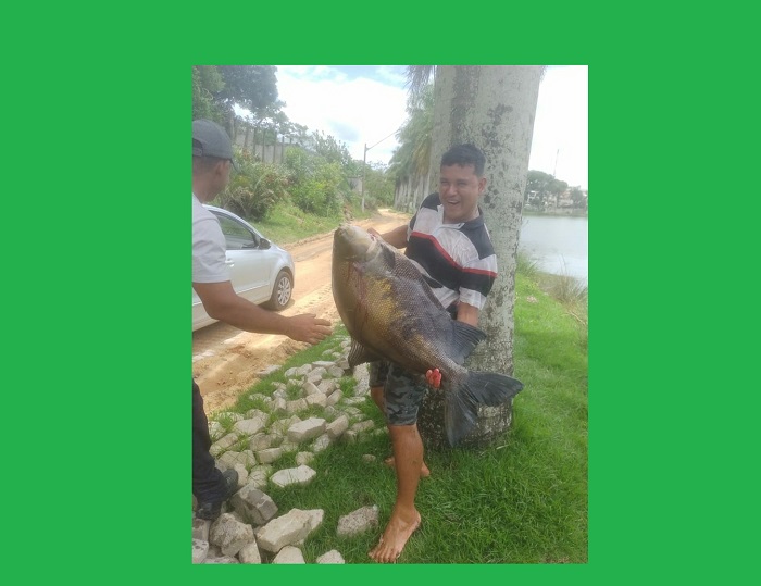 Peixão: Leitores afirmam que ele estava na Lagoa da Linha Verde