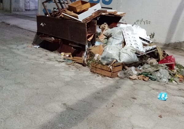 Eca! Até corpos de animais no lixo, em ponto viciado no Canivete