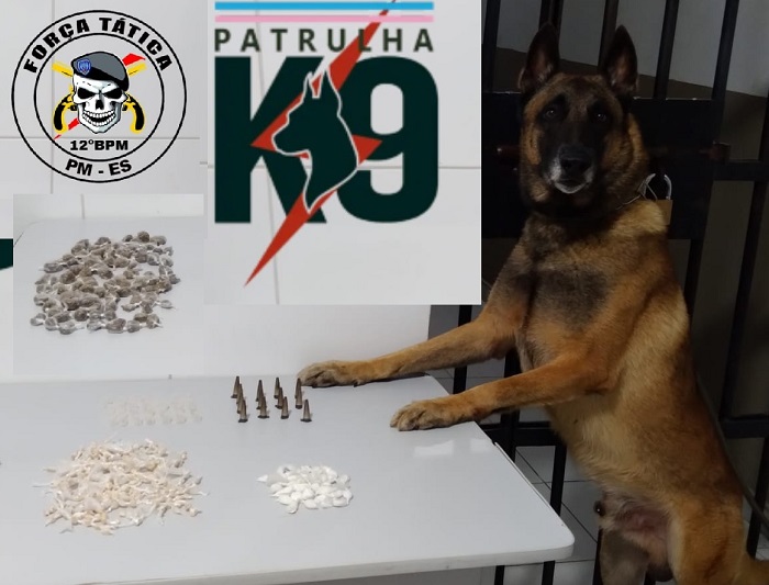 Cão Nill fareja, e Força Tática apreende farta droga fracionada no Santa Cruz