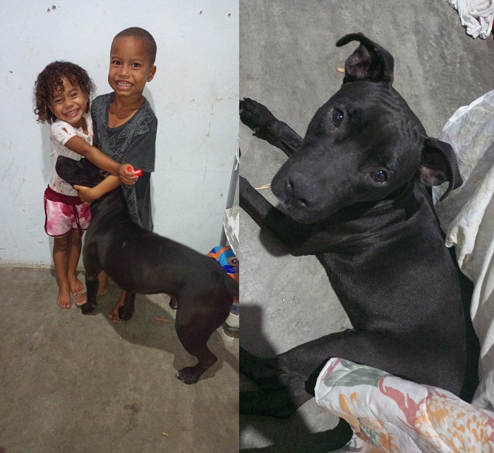 Vapt Vupt: Brutos é encontrado menos de 2 horas após manchete no Au, Au, Miau