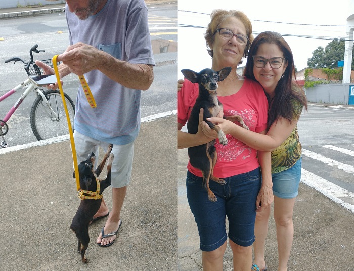 Encontrado! Não se sabe quem está mais feliz, se o Billy ou o dono