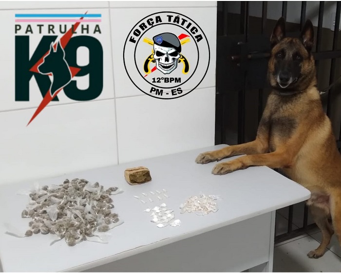 K 9 no Pó do Aviso: Muita droga encontrada em blocos de concreto e terreno baldio