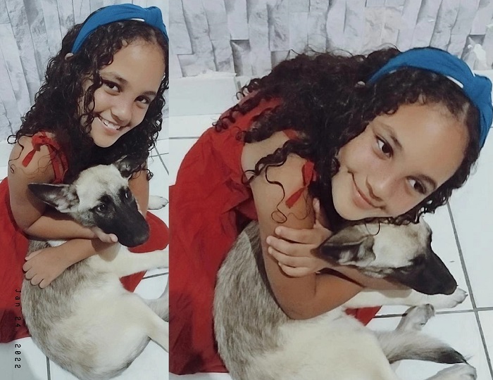 “Leu a notícia e nos procurou”, diz leitora sobre pastor alemão que fugiu no Interlagos